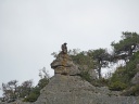 GYPAETE BARBU01098